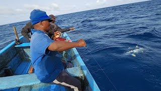 fishing for yellowfin tuna fish catching skills handline fishing video amazing fishing [upl. by Nylle155]