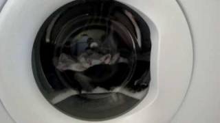 whirlpool awm4066 washing machine  programm 1 cottons prewash 70 [upl. by Norahc]