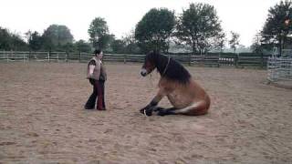 Ein paar Zirkuslektionen aus dem Training [upl. by Canon]