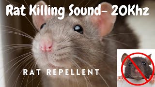 Anti Rat Repellent  Mouse Killer Sound  Very High Pitch Sound  20Khz  Kill Rats using mobile [upl. by Philcox]