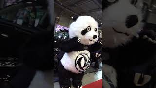 Dongfeng Panda at Sofia Motor Show 2024 Shorts [upl. by Aihsirt]