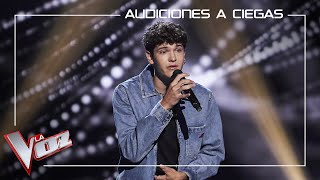 Javier Crespo canta Manos de tijera  Audiciones a ciegas  La Voz Antena 3 2022 [upl. by Sanger778]