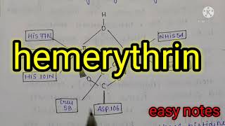 Hemerythrin Bioinorganic chemistry MSc chemistry notes  hand made notes [upl. by Neetsuj]