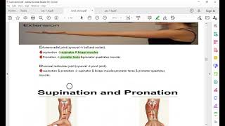 lec9 part1 elbow joint and cubital anastomosis [upl. by Wenona]