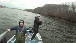 Housatonic River Striper Fishing [upl. by Nylahsoj]