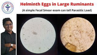 Helminth Eggs  Bovine Diseases  Lecture 02 [upl. by Nady935]