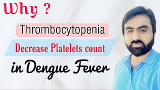 Mechanism of Thrombocytopenia in Dengue Fever Decrease Platelets count in Dengue Fever English [upl. by Crystal]