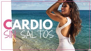 ¿Quieres Adelgazar Sin Saltar Prueba este Cardio de 15 Minutos [upl. by Forward]