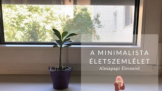 A minimalista életszemlélet  Almapapi Életmód 50 [upl. by Polad]