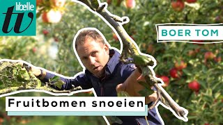 Boer Tom vertelt hoe en wanneer je het beste je fruitbomen kunt snoeien [upl. by Crandale]