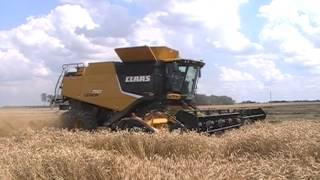 Claas Lexion 750 TT Combine [upl. by Melany]