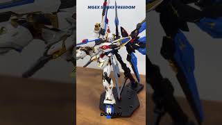 MGEX Strike Freedom MG gundambuilder asmrunboxing unboxing build strikefreedom strikegundam [upl. by Eiuqnimod56]