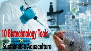 Top 10 Biotechnology Tools for Sustainable Aquaculture [upl. by Elrem]