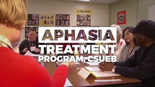 CSHA 2017 Program of the Year Aphasia Treatment Program [upl. by Publea]