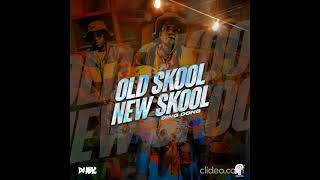 Ding Dong  Old Skool New Skool Official Audio [upl. by Helsa]