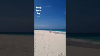 beachday happy aruba nature youtubeshorts youtubevideo fyp paradise 2024 [upl. by Ube]