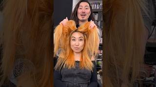 Removing Black Box Dyed Hair Color on blogilates with GuyTang mydentity [upl. by Lleoj151]