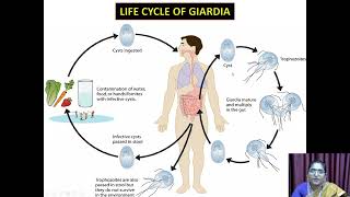 Giardia Lamblia  VHNSNCollege Autonomous [upl. by Adrien]