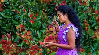 Rambutan fruit recipe 🍒 Sweet amp Sour Sinhalese Fruit Dishes  Sri Lankan Food  Nature Cooking [upl. by Mcclain]