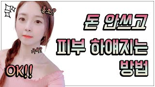 ENG 얼굴 하얘지는법ㅣ불긋불긋한 홍조 거뭇거뭇한 기미 피부인 내가 돈 안쓰고 피부 하얗게 만든 방법 [upl. by Cherye]