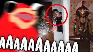 LA RATA REACCIONA A VIDEOS DE TERROR 2  LLORA [upl. by Neetsirk7]