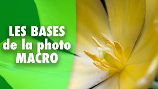 TUTO PHOTO  Les bases de la macro photographie [upl. by Ordnazil878]