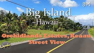 Orchidlands Estates Olaa Rd 40th Ave and Pohaku Dr  Big Island Hawaii Homes [upl. by Shellans]