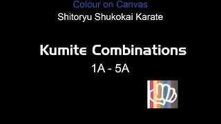 Shitoryu Shukokai Karate Kumite Combinations 1A  5A [upl. by Ecinad]