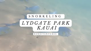 Discover the Underwater Paradise Snorkeling at Lydgate Park in Kauai Go Pro Video [upl. by Marylou]