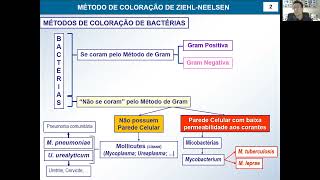 Aula 5 Método de Coloração de Ziehl Neelsen [upl. by Zap620]