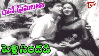 Pelli Sandadi Songs  Raave Naa Premalatha  ANR  Anjali Devi  OldSongsTelugu [upl. by Eniroc375]