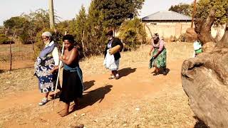 traditional marriage eswatini culture [upl. by Claman659]