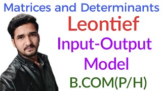 Leontief InputOutput modelMatricesLeontief inputOutput model in hindiMathematicsBCOMPH [upl. by Eimrej]