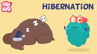 Hibernation  The Dr Binocs Show  Learn Videos For Kids [upl. by Ydollem]