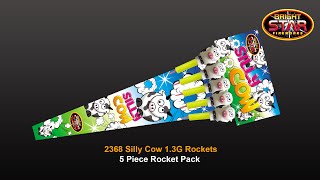 Bright Star Fireworks  2368 Silly Cow 13G Rocket Pack [upl. by Box4]