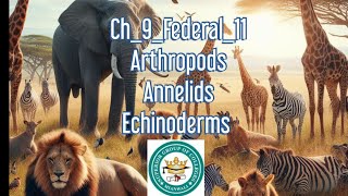 ch9Animalia Arthropods Echinoderms Hemichordates Insects Starfish Grasshopper [upl. by Alveta]