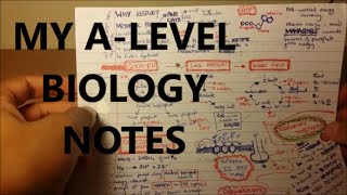 My Biology Notes  A Level  GCSE [upl. by Tallbott]