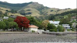 The Elastic Band  Pohutukawa Christmas Tree [upl. by Paige1]