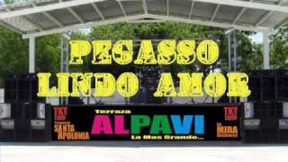 PEGASSO LINDO AMOR en Vivo [upl. by Thorner]