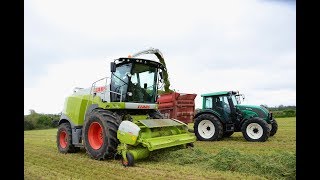 Claas Jaguar 960 at work  Ensilage dherbe 2017 [upl. by Bryner]