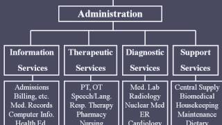 Hospital Organizational Structure [upl. by Oreves]