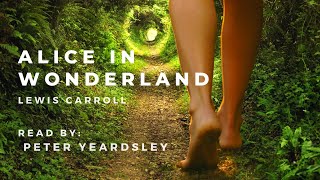 Alices Adventures in Wonderland Audiobook  Relaxing Sleep Story  Unintentional ASMR [upl. by Ciri759]