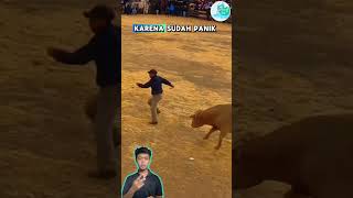 kurang ahli nih jokinya reaksi reels shortvideo reactionvidio funny reacvidio fypage [upl. by Midian774]