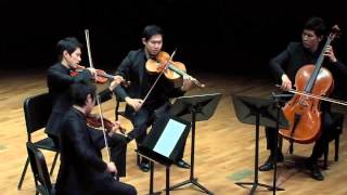 SibeliusAndante Festivo string quartet ver by NOVUS Quartet [upl. by Petie]