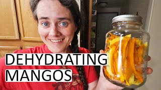 How To Dehydrate Mangos  One Of The TASTIEST Dried Fruits  Fermented Homestead [upl. by Kellda]