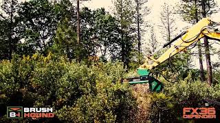 FX36 Defender Forestry Mulcher  Excavator Mulcher  Land Clearing Equipment [upl. by Yblok766]