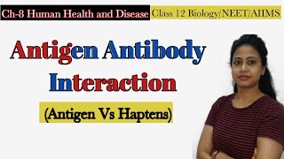 Antigen Antibody Interaction Antigen StructureAntibody Reaction Human Health amp Disease Class 12 [upl. by Ibrik674]