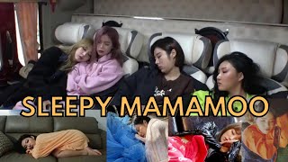 Sleepy Mamamoo The only time where Mamamoo are not loud [upl. by Spanjian803]