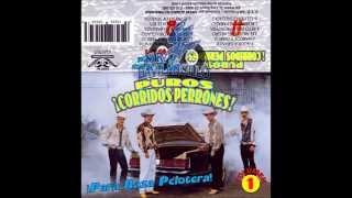 Puros Corridos Perrones Vol1 [upl. by Anaylil]