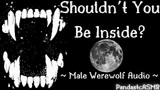 ASMR Not Everyone is Hibernating M4A Male Werewolf Werewolf Transformation [upl. by Amery]